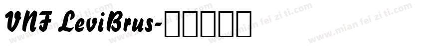 VNF LeviBrus字体转换